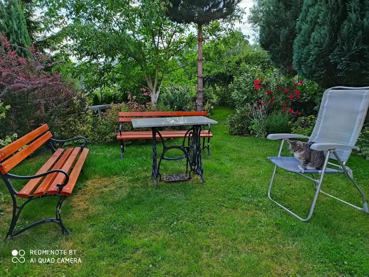 Appartement Apartament Radochow 138G à Lądek-Zdrój Extérieur photo